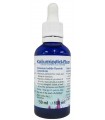 KaliumIodid/Fluor Concentrate (PIF) 50ml, Korallen-Zucht