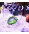 Alimentador para corales de metacrilato