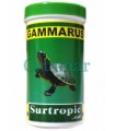 Gammarus (250 o 1200 ml), Surtropic