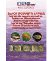Black mosquito larvae, Ocean Nutrition