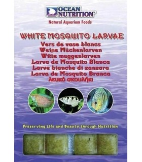 White mosquito larvae, Ocean Nutrition