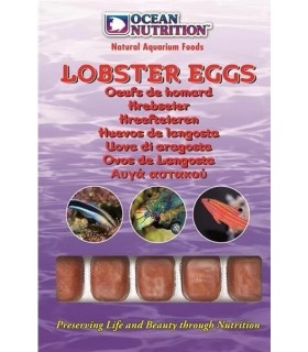 Lobster Eggs, Ocean Nutrition