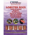 Lobster Eggs, Ocean Nutrition