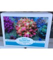 Reefer's Bio Reef Salt Premium Quality 20kg, Korallen-Zucht