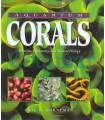 Los-corales-del-acuario-de-Eric-Borneman