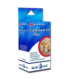 Flatworm RX 30 ml, Blue life