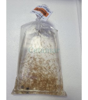 Artemia viva 250 ml