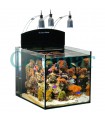 Aqua Medic Blenny Nano Reef acuario (80 litros)