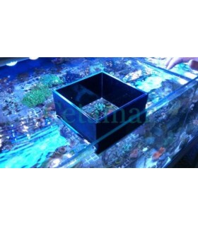 Coral view box (lupa de corales), Zetreef