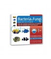 Bacteria & Fungi 6 ampollas Prodibio