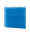 Esponja Foamex 25x25x2,5 cm poro grueso azul