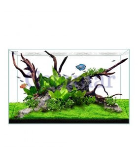 Acuario Clear 3620, Waterbox