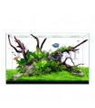 Acuario Clear 3620, Waterbox