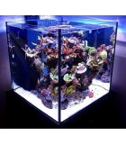 Cubic Aquariums