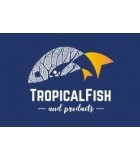 Tropical Fish and Products