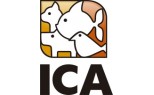 ICA S.A.
